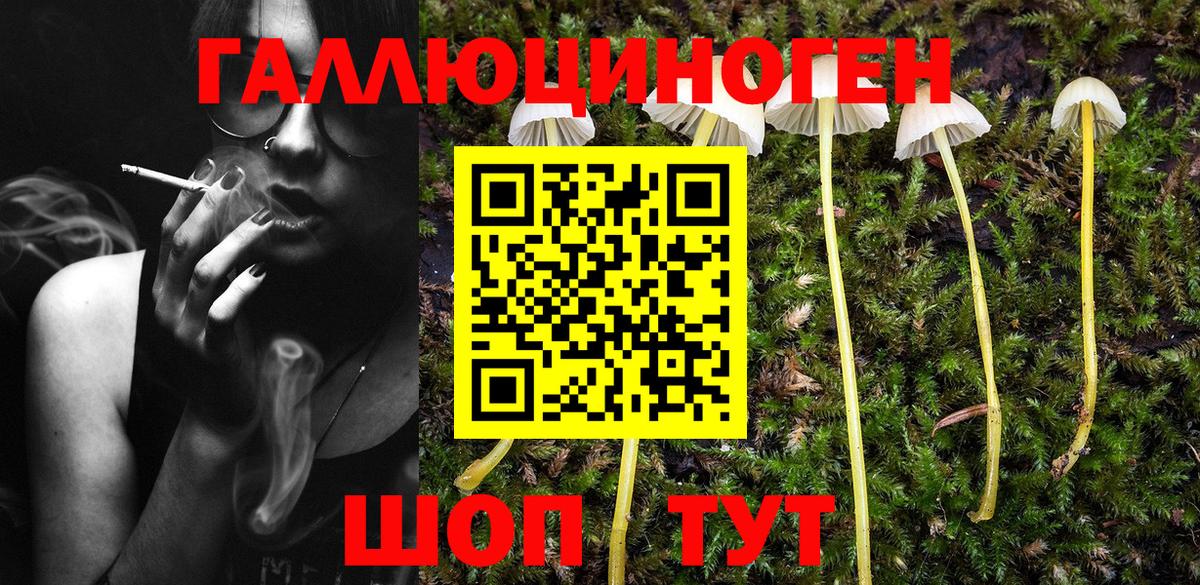 Кызыл  Галлюциногенные грибы мухоморы  Вход с VPN  Галлюциногенные грибы мицелий 
